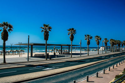 Palm trees on beach against clear blue sky