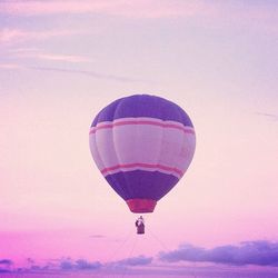 Low angle view of hot air balloons