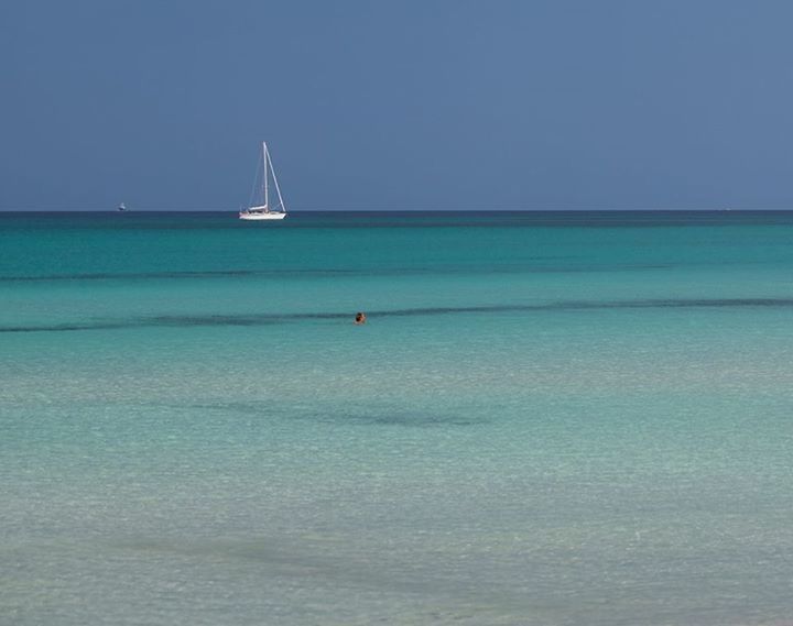 sea, water, horizon over water, nautical vessel, waterfront, transportation, blue, mode of transport, boat, clear sky, copy space, tranquility, tranquil scene, sailboat, scenics, rippled, nature, seascape, beauty in nature, sailing