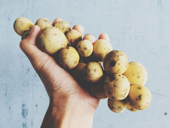 Close-up of hand holding fruits