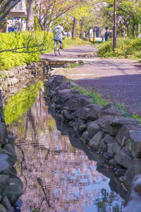 View of footpath in park