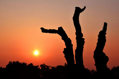 Silhouette people standing against sky during sunset. silhouettes of a tree in afternoon and sunset