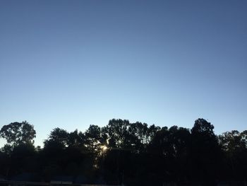 Silhouette trees on field against clear blue sky