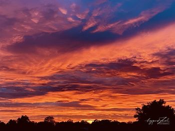 Low angle view of silhouette trees against dramatic sky
