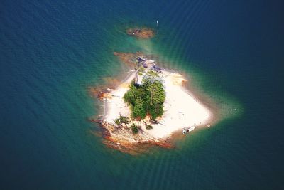 High angle view of trees on beach