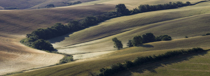 High angle view of agricultural field