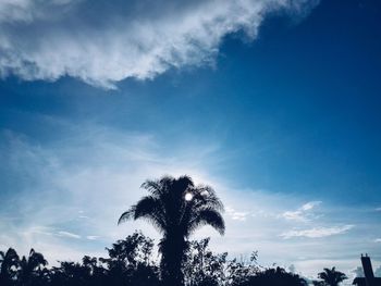 Low angle view of silhouette coconut palm trees against blue sky