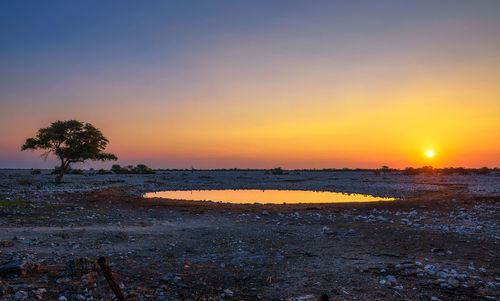 Scenic view of sunset