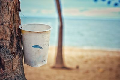 Coffee cup nailed to the tree at beach