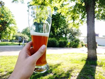 Close-up of hand holding beer glass against trees