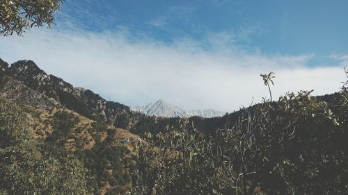 Low angle view of mountain against sky