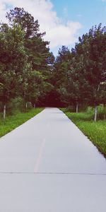 Road amidst trees against sky