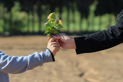 Cropped hand of couple holding flowers
