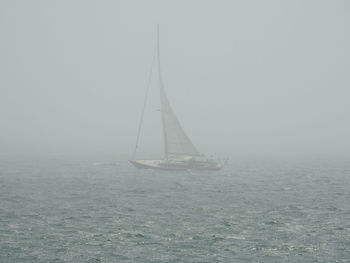 Sailboat sailing on sea against sky