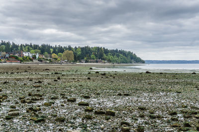 Scenic view of beach against sky