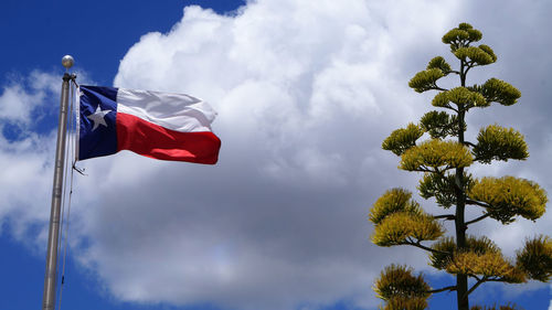 Low angle view of flag against sky