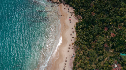 Tropical coast, ocean and waves crashing against rocks, drone shot, exotic landscape.