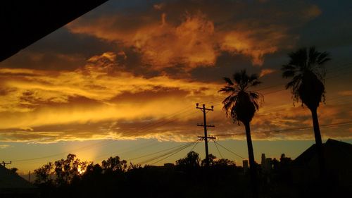 Low angle view of silhouette trees against dramatic sky