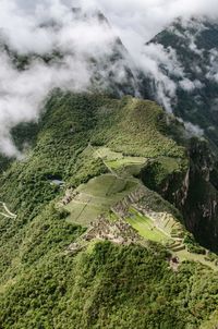 Aerial view of mountains with green trees and cloud