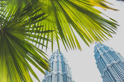 Low angle view of palm tree against sky