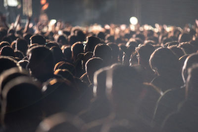 Crowd at music concert