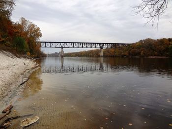 Reflection of trees in puddle