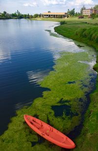 High angle view of lake by grass