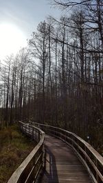 Empty road in forest against sky