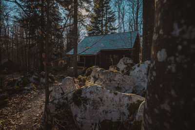 Abandoned building by trees