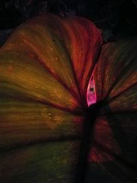 Close-up of illuminated lights