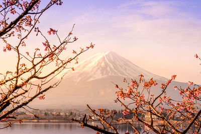 View of a snow covered mountain