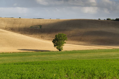 Scenic view of farm against sky