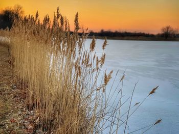 Scenic view of lake against sky during sunset