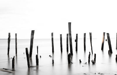 Wooden posts in sea against clear sky