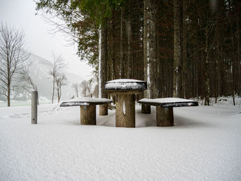 Snow covered field by trees during winter