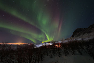 Aurora borealis in the night sky of iceland