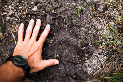 High angle view of human hand