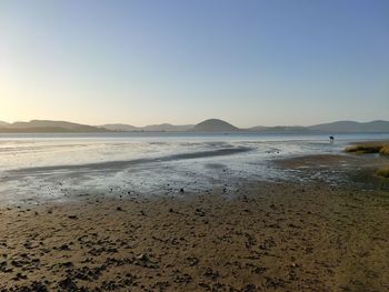 Scenic view of beach against clear sky