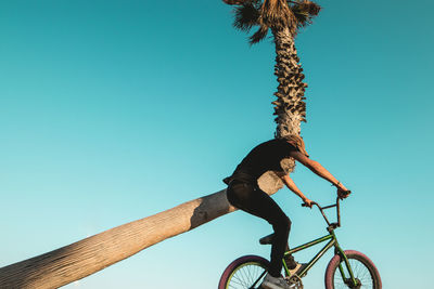 Low angle view of bicycle against trees against clear blue sky