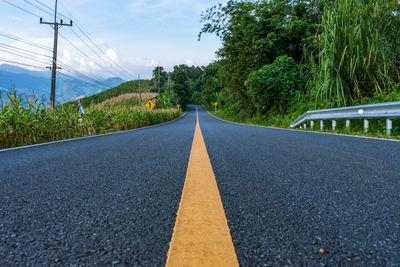 Surface level of road amidst trees against sky