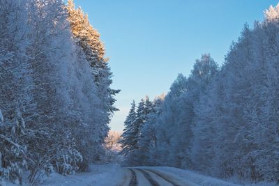 Snow covered land and trees against clear sky