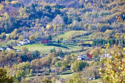 Scenic view of trees and houses on field