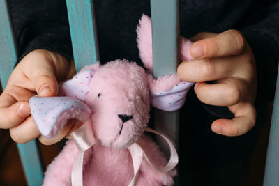 Children's hands are holding a small soft rabbit toy. social advertisement.