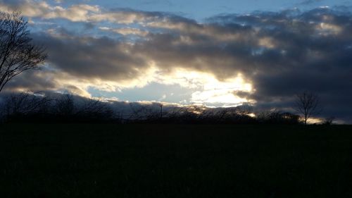 Scenic view of tree against sky at sunset