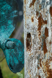 Close-up of peeled wall