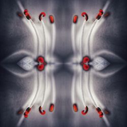 Digital composite image of water over black background