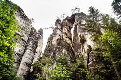 Low angle view of trees on rock against sky