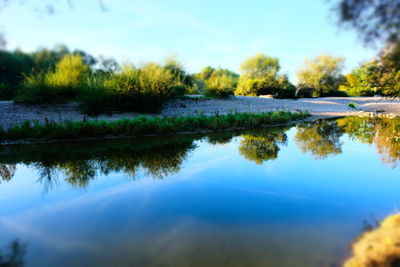 Reflection of trees in lake against sky