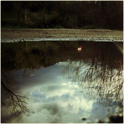 Reflection of trees in lake