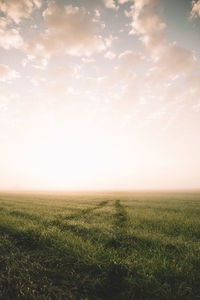 Scenic view of field against sky during sunset